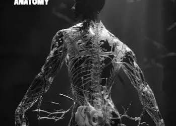 Gravity cover art