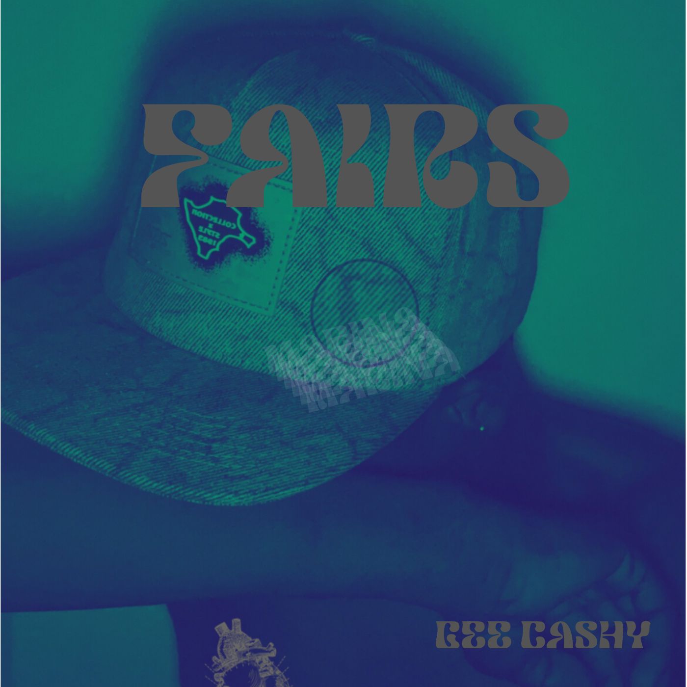 FAIRS cover art