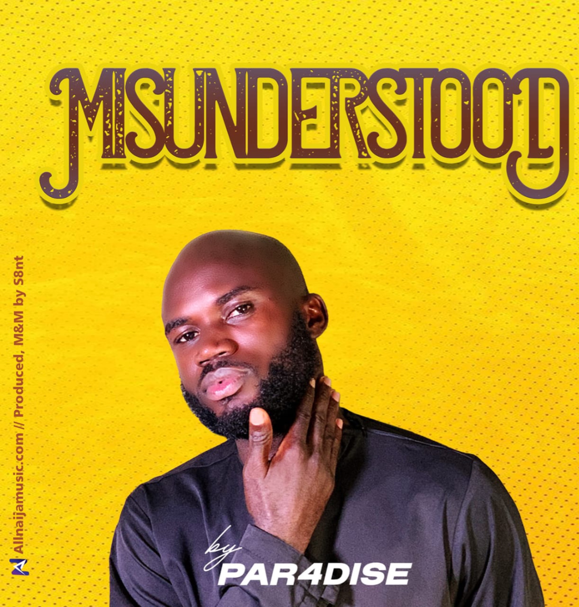 Misunderstood cover art