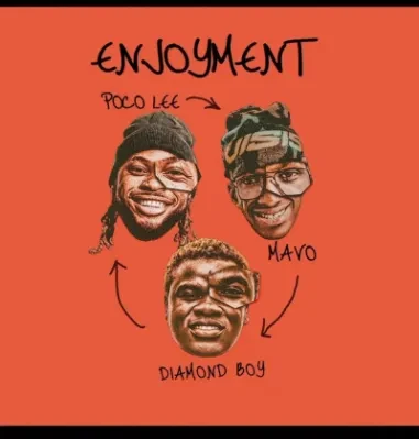 Enjoyment cover art