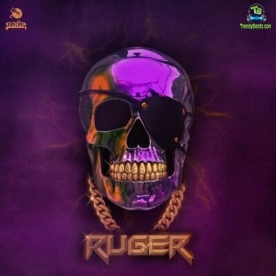 Ruger cover art